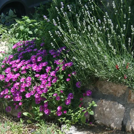 Apartments With Parking Space Pinezici, Krk - 5464 Apartment *