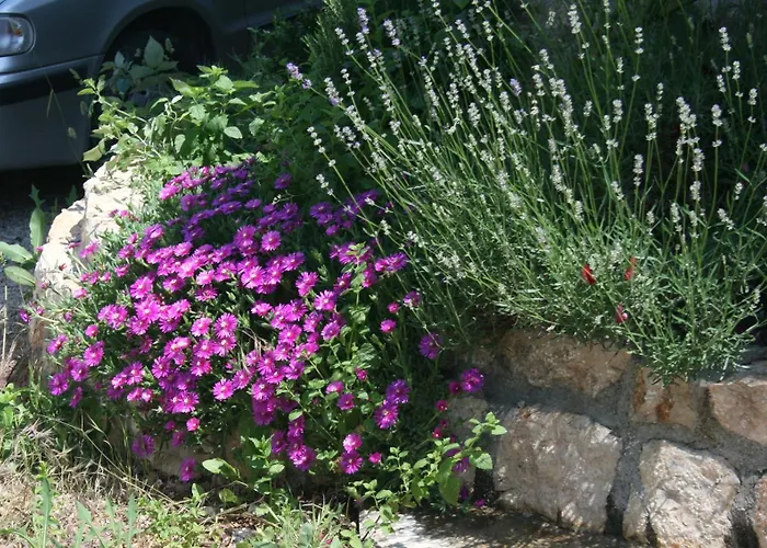 With Parking Space Pinezici, Krk - 5464 Διαμέρισμα *